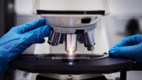 Pathologist using a microscope while conducting diagnostic testing in a laboratory